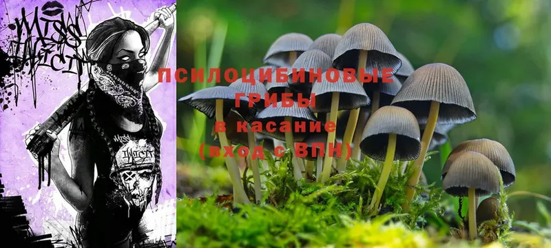 Галлюциногенные грибы MAGIC MUSHROOMS  Балашов 